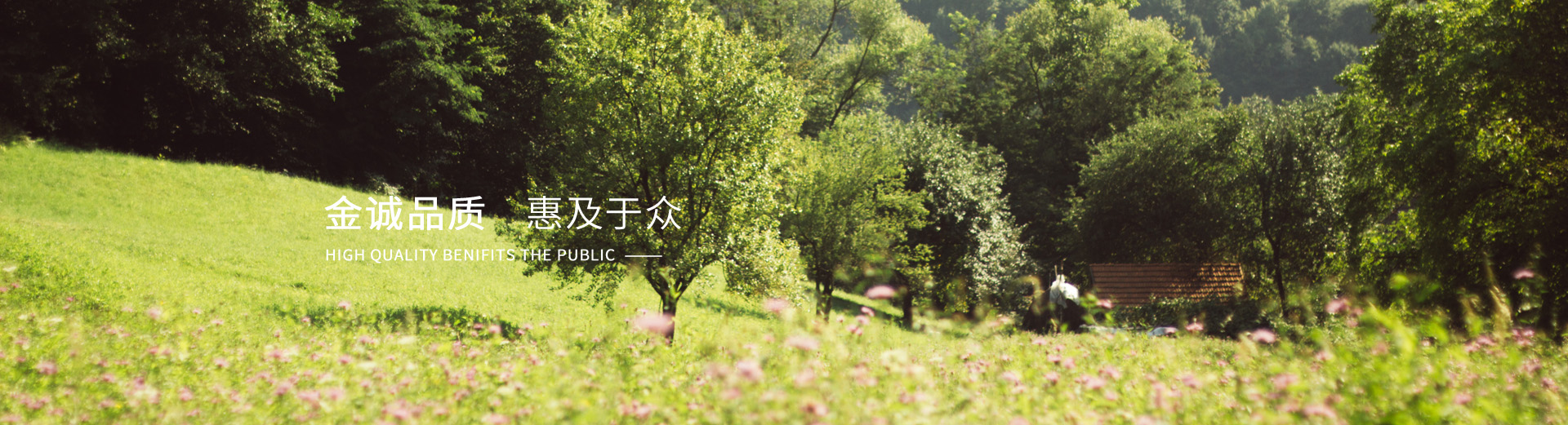 首頁(yè)banner3